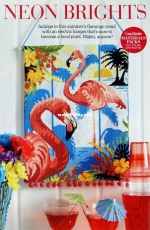 Neon Brights by Felicity Hall from Cross Stitcher 255 PCS + XSD