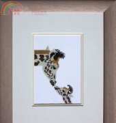 Cornelia Papesch CP 29-27 GiraffenGlueck