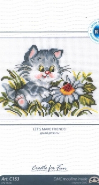 RTO C153 - Lets Make Friends
