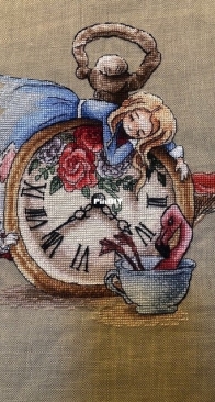 Alice in the Wonderland