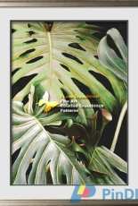 I Love CrossStitch ILCS SBL-002 - Pelelehua