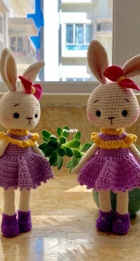 Bunny