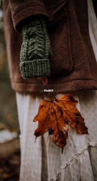 Hiedra Mitts by Lærke Bisschop-Larsen - Fiber Tales