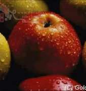 Golden Kite 506 Apples