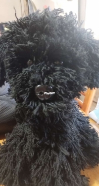 realistic poodle dog