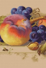Still Life With Peach by Ekaterina Volkova