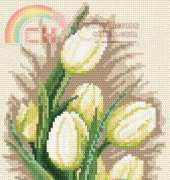 White Tulips