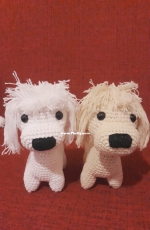 Dogs