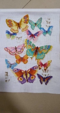 butterfly Beauty by Dimensions