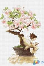 Luca-S B1114 Sakura XSD