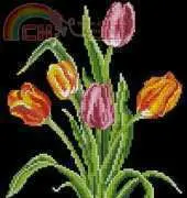 Dome 31003 Tulip