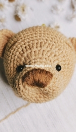 bear head