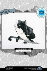 RTO M665 - Among Black Cats