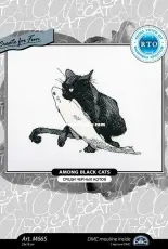 RTO M665 - Among Black Cats