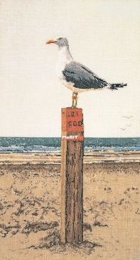 Thea Gouverneur 1062 Seagull