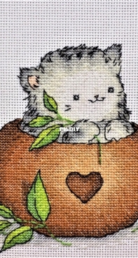 Cat in a teacup