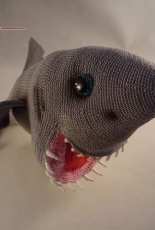 Shark