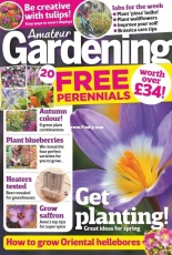 Amateur Gardening - 04 November 2017