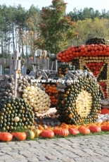 Pumpkin exhibition