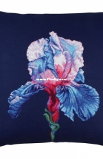 RTO CU026 - Proud iris