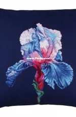 RTO CU026 - Proud iris