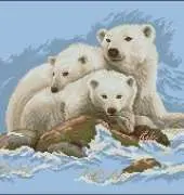 Riolis 1033 - Polar Bears XSD