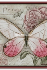 Chimera - Butterfly Vintage 4 by Jane Shasky