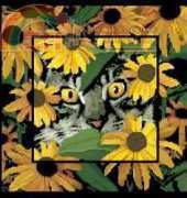 Cross My Heart CSB-282 Summer Cat XSD