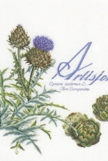 Thea Gouverneur - TG3048 - Artisjok/Artichoke PCS