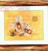 Lanarte 34745 - Two orchids