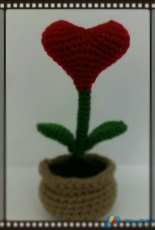heart  plant
