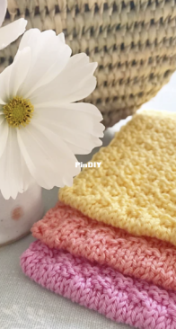 Wondrous Dishcloth by Jooles Hill
