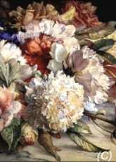 Golden Kite - GK1707 - Peonies in XSD