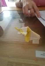 Yellow Elephant paper