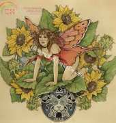 HAED HAELR 12 Leo by Linda Ravenscroft