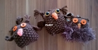 Owls