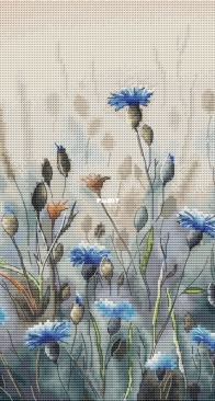 Cornflower Field by Anastasia Eremina