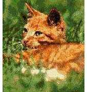 Kreuzstich - Cat on the Meadow