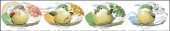 KS  61588 Four Seasons Birds