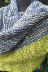 Lime Stripe Shoulder Wrap by Andra Asars-Free
