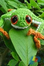 Roman Socks - Brigitte Read - Tree Frog - Free