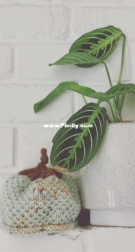 Trellis Hat by Stephanie Rettenmeier-Free