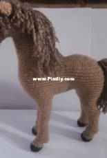 horse
