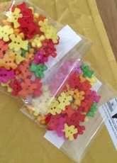 Coloured Teddy Buttons