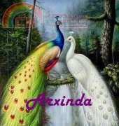 Arxinda - Pavos Reales 1