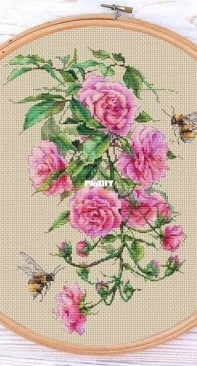 Ameli Stitch - Bumblebees in Roses by Anna Smith/Kuznetsova XSD
