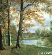 Golden Kite GK 2236 - A Quiet Lake