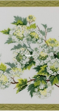 Riolis 884 - Viburnum