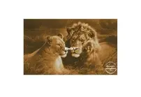 Yariskins Polychrome YAM-033 Lion and Lioness by Irina Yakovleva XSD