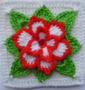 Luba Davies Atelier - Luba Davies - Poinsettia in square